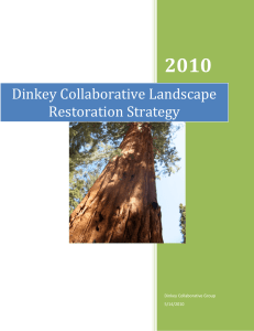 2010 Dinkey Collaborative Landscape Restoration Strategy