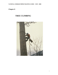 TREE CLIMBING  Chapter 8 NATIONAL SMOKEJUMPER TRAINING GUIDE – USFS - 2008