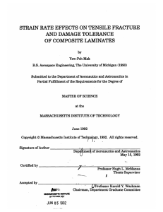 STRAIN  RATE  EFFECTS ON TENSILE  FRACTURE