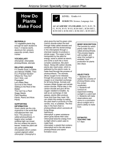 How Do Plants Make Food Arizona Grown Specialty Crop Lesson Plan