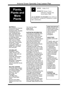 Plants, Plants and More Plants
