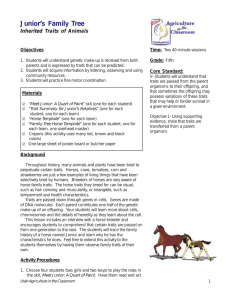 Junior’s Family Tree Inherited Traits of Animals Objectives Time: