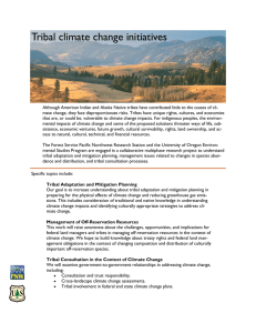 Tribal climate change initiatives