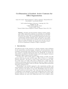 Co-Dimension 2 Geodesic Active Contours for MRA Segmentation Liana M. Lorigo