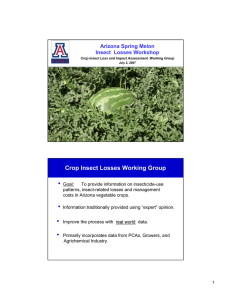 • Crop Insect Losses Working Group Arizona Spring Melon Insect  Losses Workshop