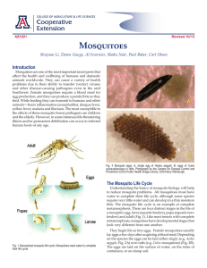 Mosquitoes Introduction Shujuan Li, Dawn Gouge, Al Fournier, Shaku Nair, Paul Baker,...