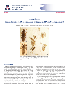 Head Lice: Identification, Biology, and Integrated Pest Management November 2015