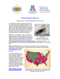 Pesticide Resistant Head Lice