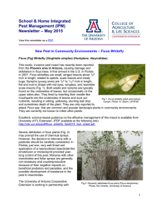 School &amp; Home Integrated Pest Management (IPM) – May 2015