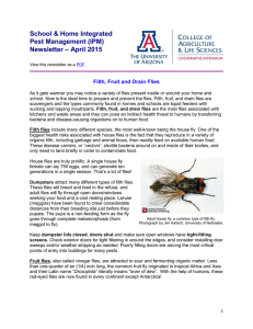School &amp; Home Integrated Pest Management (IPM) – April 2015