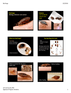 Bed bugs 3/2/2016 Bed bugs: Anyone