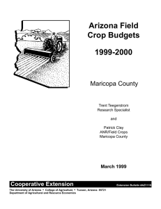 Arizona Field Crop Budgets 1999-2000 Maricopa County
