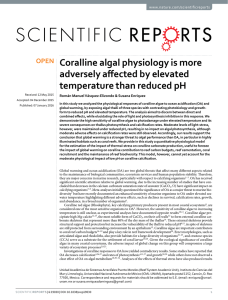Coralline algal physiology is more adversely affected by elevated www.nature.com/scientificreports
