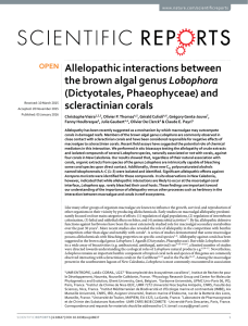 Allelopathic interactions between Lobophora (Dictyotales, Phaeophyceae) and scleractinian corals