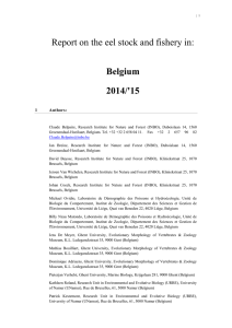 Report on the eel stock and fishery in: Belgium 2014/'15
