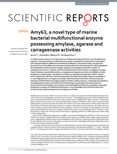 Amy63, a novel type of marine bacterial multifunctional enzyme carrageenase activities