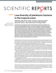 Low diversity of planktonic bacteria in the tropical ocean