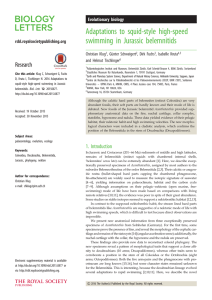 Adaptations to squid-style high-speed swimming in Jurassic belemnitids Research Evolutionary biology