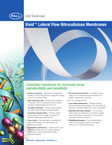 Vivid Lateral Flow Nitrocellulose Membranes Consistent membrane for increased assay reproducibility and sensitivity