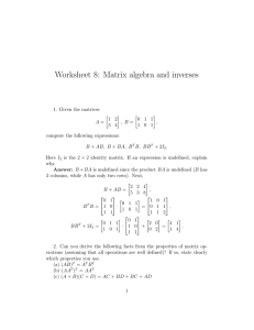 Worksheet 8: Matrix algebra and inverses
