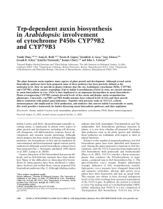 Trp-dependent auxin biosynthesis Arabidopsis of cytochrome P450s CYP79B2 and CYP79B3