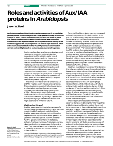 Review Canonical Aux/IAA proteins share four conserved
