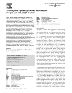 The ethylene signaling pathway: new insights 1