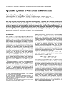 Apoplastic Synthesis of Nitric Oxide by Plant Tissues Paul C. Bethke,