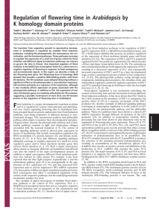 Regulation of flowering time in Arabidopsis by K homology domain proteins