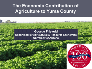 The Economic Contribution of Agriculture to Yuma County George Frisvold