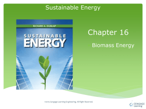 Chapter 16 Sustainable Energy 