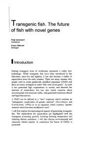 1 Transgenic fish. The future of fish with novel  genes