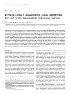 Beyond Reversal: A Critical Role for Human Orbitofrontal