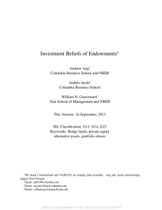 Investment Beliefs of Endowments