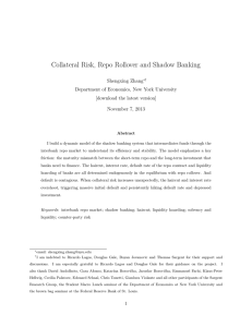 Collateral Risk, Repo Rollover and Shadow Banking