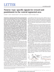 LETTER Neuron-type-specific signals for reward and punishment in the ventral tegmental area