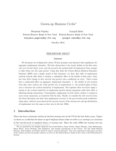 Grown-up Business Cycles