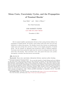 Menu Costs, Uncertainty Cycles, and the Propagation of Nominal Shocks ∗ Isaac Baley