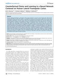 Counterfactual Choice and Learning in a Neural Network Erie D. Boorman