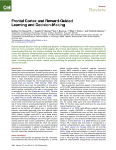 Review Frontal Cortex and Reward-Guided Learning and Decision-Making Neuron