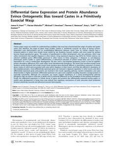 Differential Gene Expression and Protein Abundance