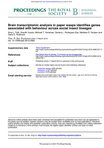 Brain transcriptomic analysis in paper wasps identifies genes