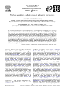 Worker nutrition and division of labour in honeybees