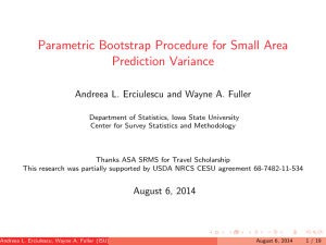 Parametric Bootstrap Procedure for Small Area Prediction Variance