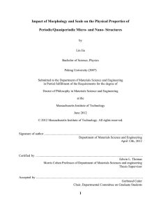 Impact of Morphology and Scale on the Physical Properties of