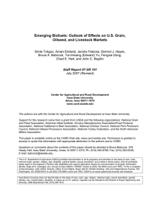 Emerging Biofuels: Outlook of Effects on U.S. Grain,