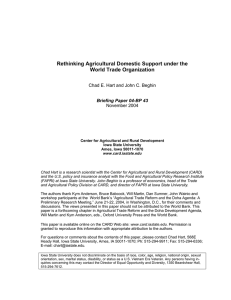 Rethinking Agricultural Domestic Support under the World Trade Organization