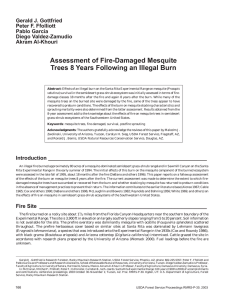 Assessment of Fire-Damaged Mesquite Trees 8 Years Following an Illegal Burn