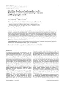 Modelling the effects of surface and crown fire