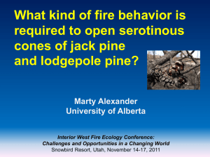 What kind of fire behavior is required to open serotinous